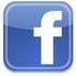tauchen in moalboal on facebook