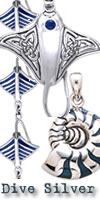 dive silver and scuba equipment for sale